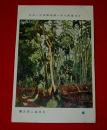 太田喜二郎　藪　帝國美術院第1回美術展覧会（絵葉書）1枚