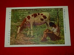 吉村芳松　深春の頃　帝國美術院第1回美術展覧会（絵葉書）1枚