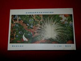 石崎光瑤　白孔雀（其1）帝國美術院第4回美術展覧会（絵葉書）1枚