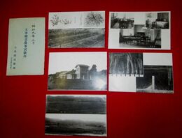 大分県立農事試験場　杵築町七島蘭試験地（絵葉書）5枚