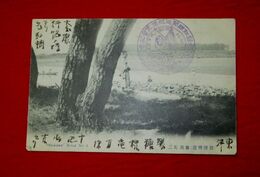 別府附近　新川　其2　報知新聞巡航博覧会記念印（絵葉書）1枚