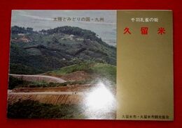 千羽孔雀の街　久留米　