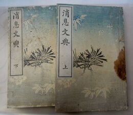 消息文典　上・下