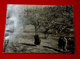 おおいた（写真集）　観光地案内図　県内旅館写真