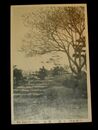 小樽　公園ノ風光（絵葉書）1枚