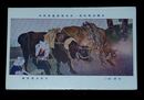 小林大雲　佐登　其1　第1回帝国美術院展覧会（絵葉書）1枚