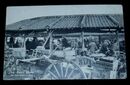 松山　三津港朝の魚市（絵葉書）1枚