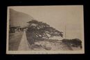 別府　仏崎鶴の松　路面電車（絵葉書）1枚