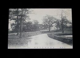 東北帝国農科大学（絵葉書）1枚