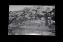 福島　白河小南湖畔　割烹旅館角金（絵葉書）1枚