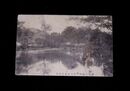 伊予宇和島　伊達候庭園天赦園（絵葉書）1枚