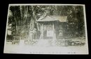 高知　八坂神社　紅葉の寄木（絵葉書）1枚