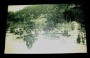 岐阜公園（絵葉書）1枚