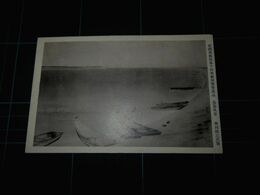 香川龍三　長島風景　帝國美術院第10回美術展覧会（絵葉書）1枚