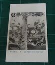 畠山錦成　秋　帝國美術院第9回美術展覧会（絵葉書）1枚