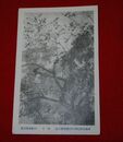 川船水棹　初冬　帝國美術院第5回美術展覧会（絵葉書）1枚