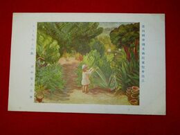 田中繁吉　ロミちゃんの庭　帝國美術院第4回美術展覧会（絵葉書）1枚