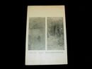 荘司淳　早春初夏　帝國美術院第4回美術展覧会（絵葉書）1枚