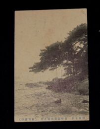 別府　仏崎遊園地亀之松（絵葉書）1枚