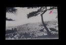 山口　下関市全景（絵葉書）1枚