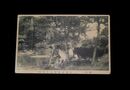 秋田　千秋公園湖月畔噴水（絵葉書）1枚