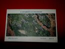 石崎光瑤　白孔雀（其2）帝國美術院第4回美術展覧会（絵葉書）1枚