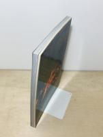 原点復帰 横浜  中平卓馬展