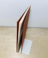 薔薇色地獄 叢書水の梔子