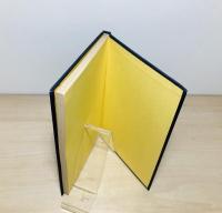 月の子 : 新子自選集