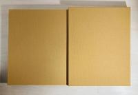 TOMIO SEIKE PORTRAIT OF ZOE