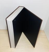 Louis Vuitton : the birth of modern luxury