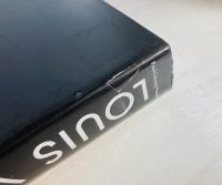 Louis Vuitton : the birth of modern luxury