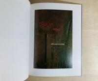 Vincent Gallo Paintings and Drawings 1982-1988  Art random5