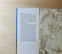 石に生きる  和泉正敏の仕事  野口ミチオ写真集