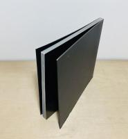 Paul McCarthy: Propo　ポール・マッカーシー作品集