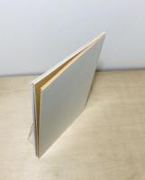 小泉明郎　MAMプロジェクト009