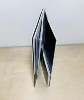 <見ること>と<写真を見ること>　若江漢字に照らして