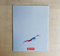 ARAKI for Supreme 水原希子