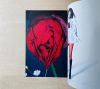 ARAKI for Supreme 水原希子