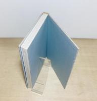 自然のパターン : 形の生成原理