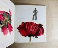 PASSAGE　Irving Penn　アーヴィング・ペン