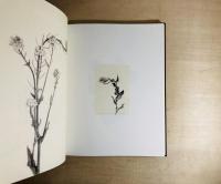 TIME IN AIR, TIME IN PAPER