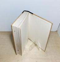 類聚書画落款印譜