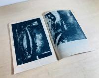 美術手帖　第1巻第6号