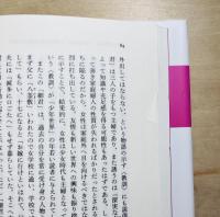 「少女小説」の生成  ジェンダー・ポリティクスの世紀