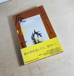荒木経惟写真全集 11 廃墟で