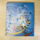 Sarah Sze