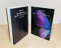 道化師の石 BOX入り