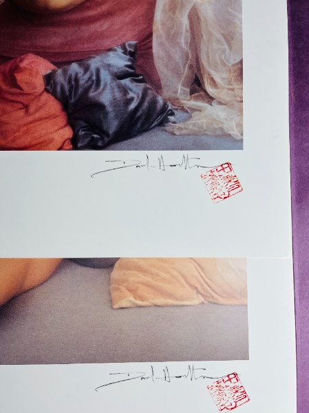 DAVID HAMILTON PORTFOLIO デビッド・ハミルトン ポートフォリオ