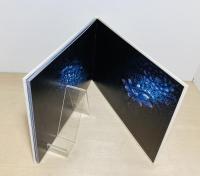 魚になった少女